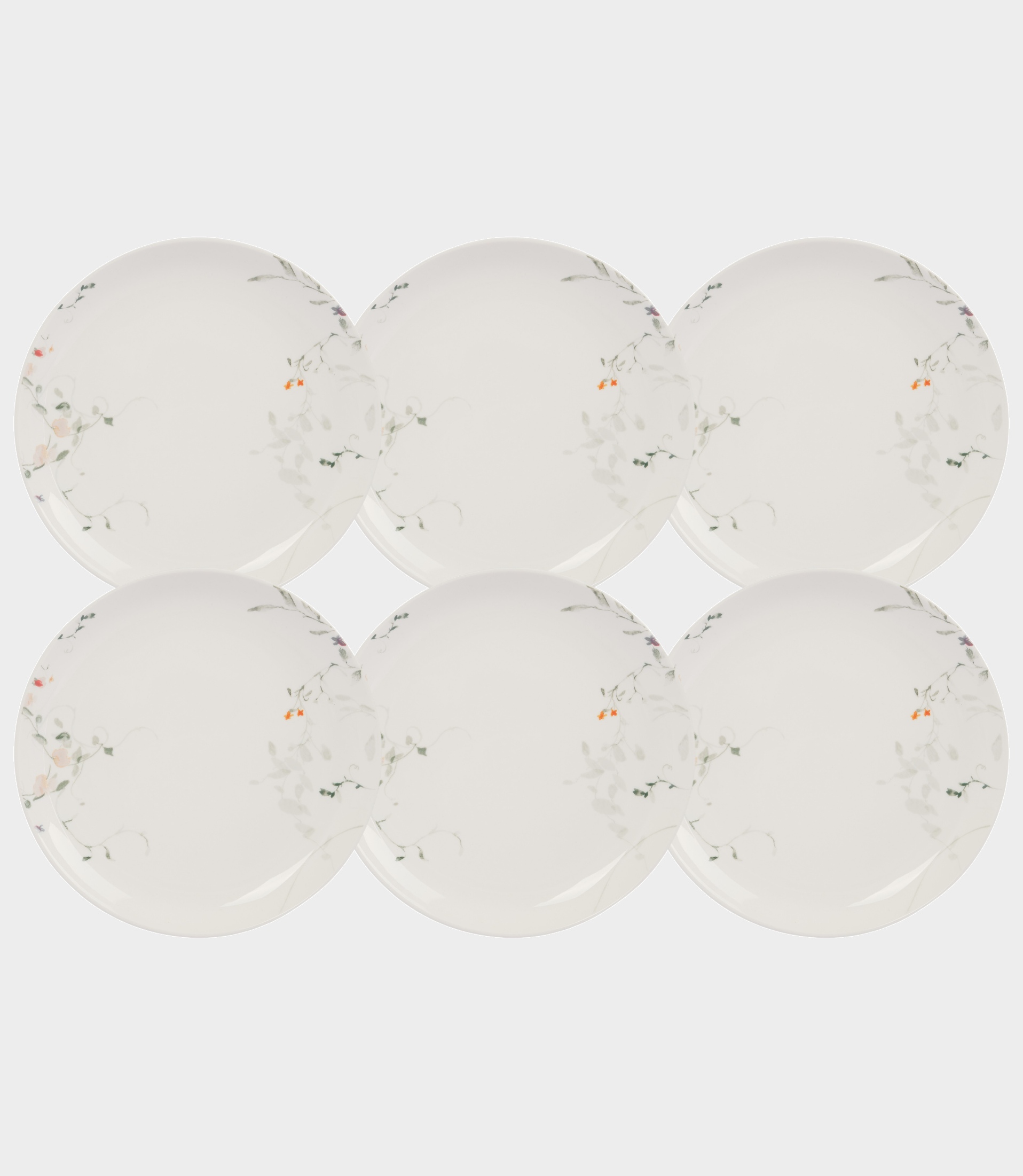Набор 6 тарелок закусочных, 21 см, костяной фарфор, белая, Цветы и листья, Primrose
