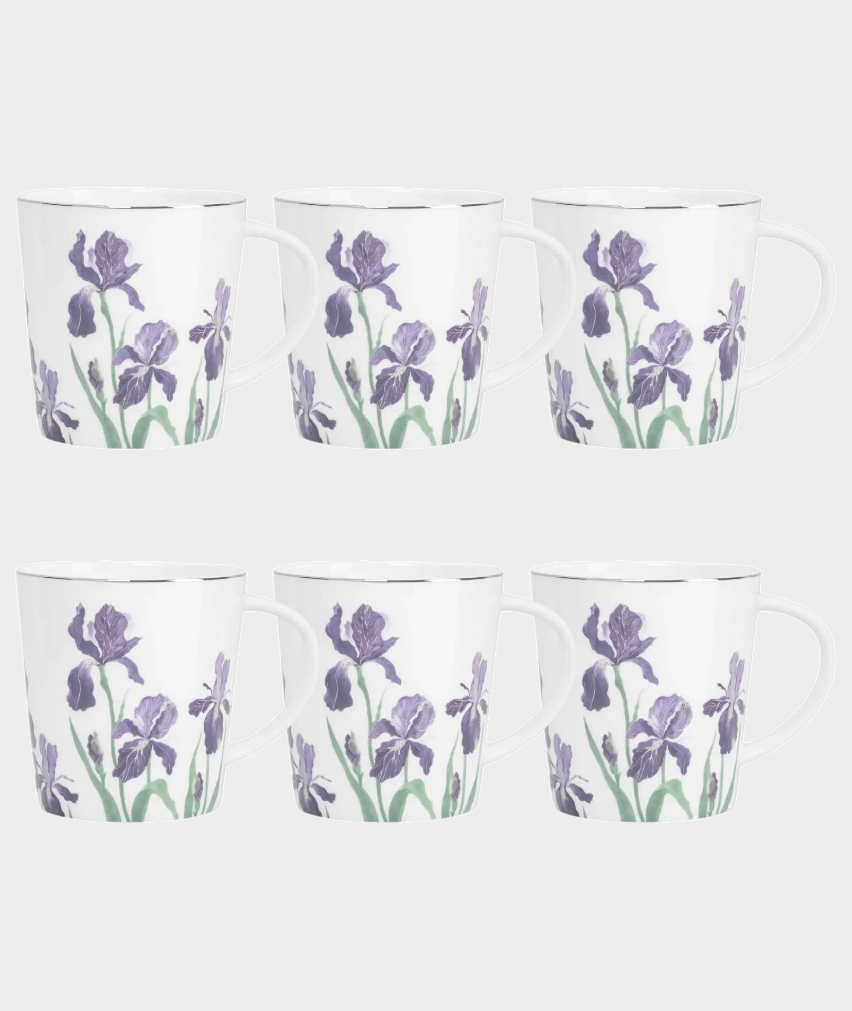 Набор 6 кружек, 450 мл, костяной фарфор, белая, с серебряным кантом, Ирисы, Giardino