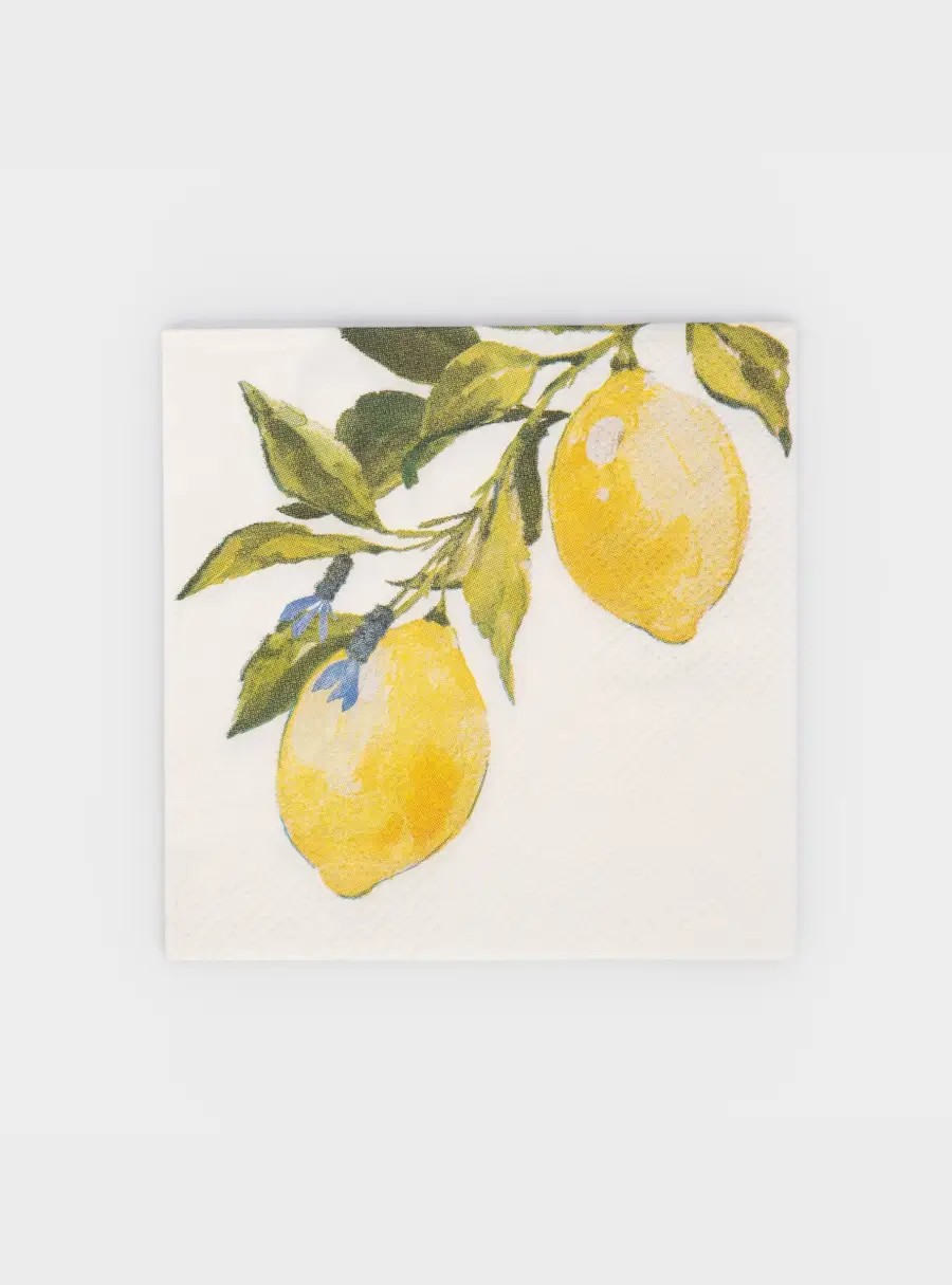 Салфетки бумажные, 21✕21 см, 20 шт, квадратные, белые, Лимоны, Palermo