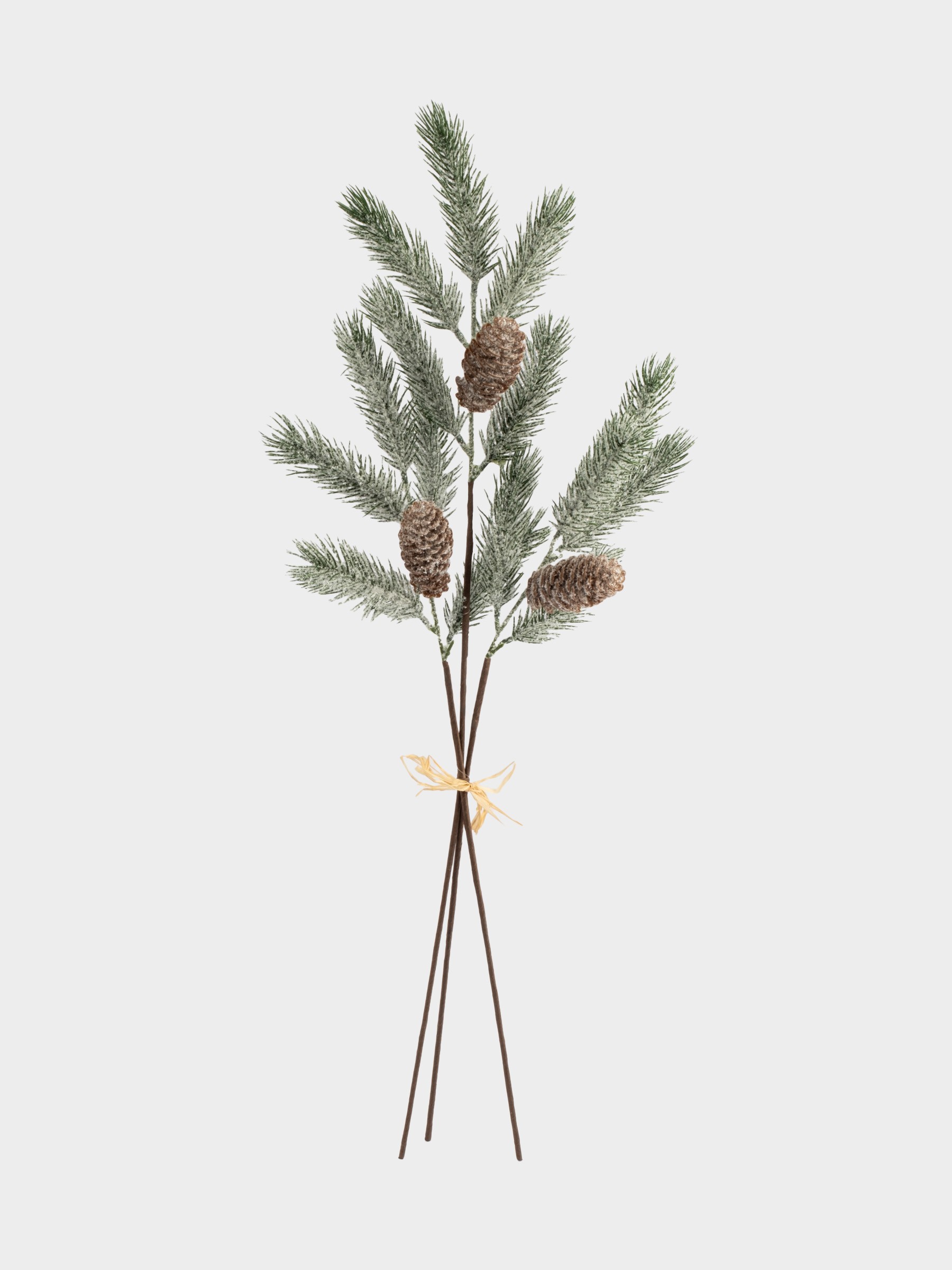 Ветка декоративная, 70 см, пластик/шишки, Шишки на ветке, Interior natural Ветка декоративная, 70 см, пластик/шишки, Шишки на ветке, Interior natural