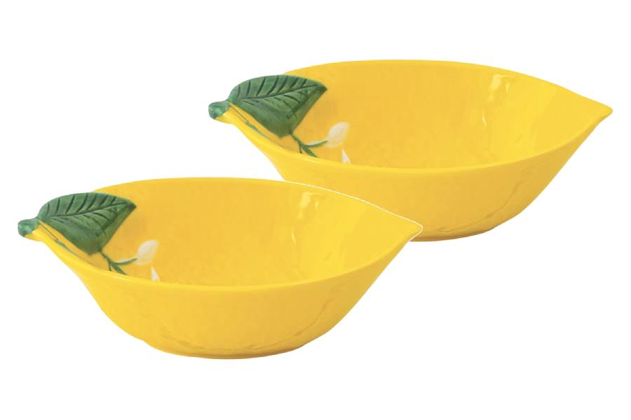 Набор 2 салатника, 30х22 см, 1,5 л, фарфор P, овальный, желтый, Лимон, Fleurs et Citrons