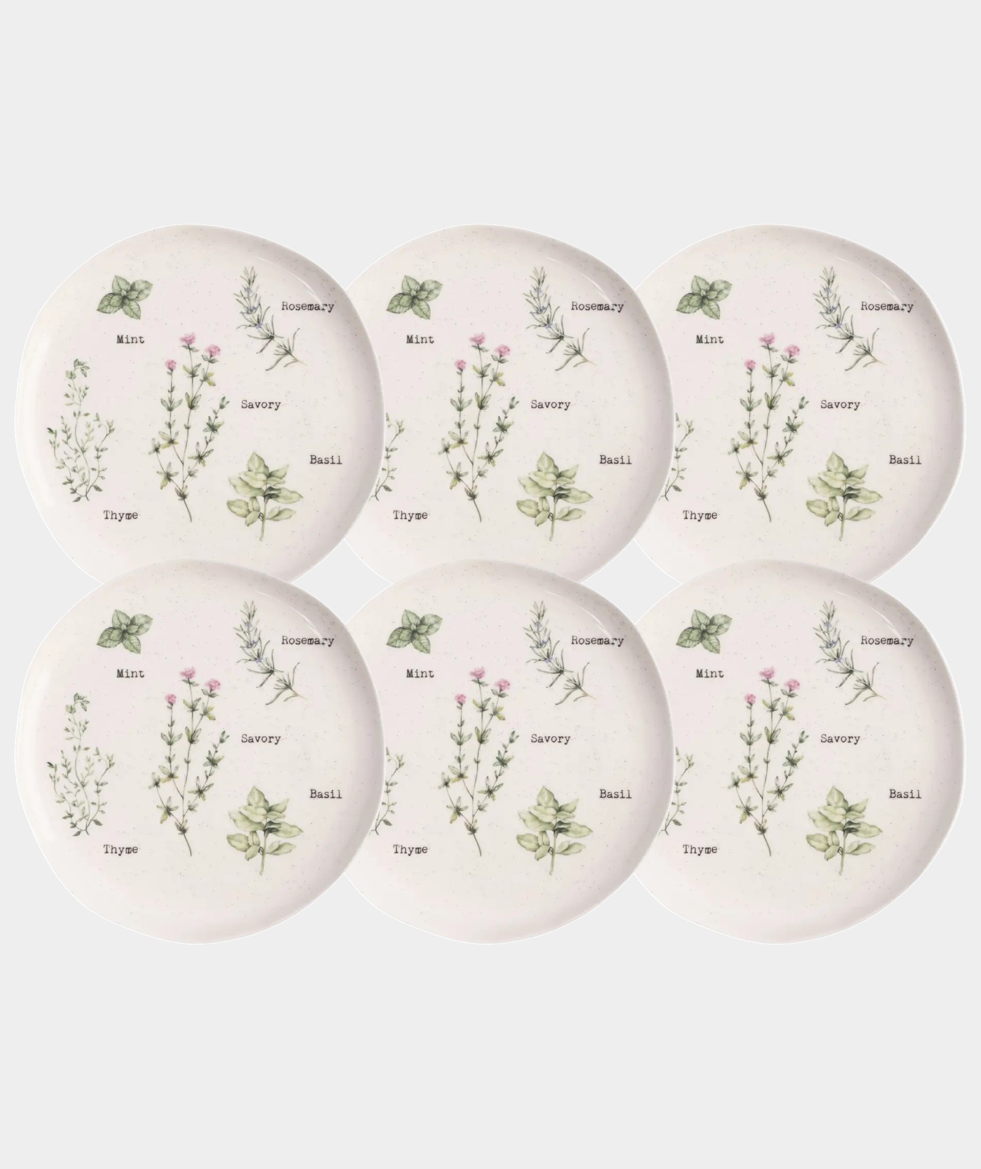 Набор 6 тарелок обеденных, 26 см, костяной фарфор, белая, в крапинку, Приправы, Herbarium new