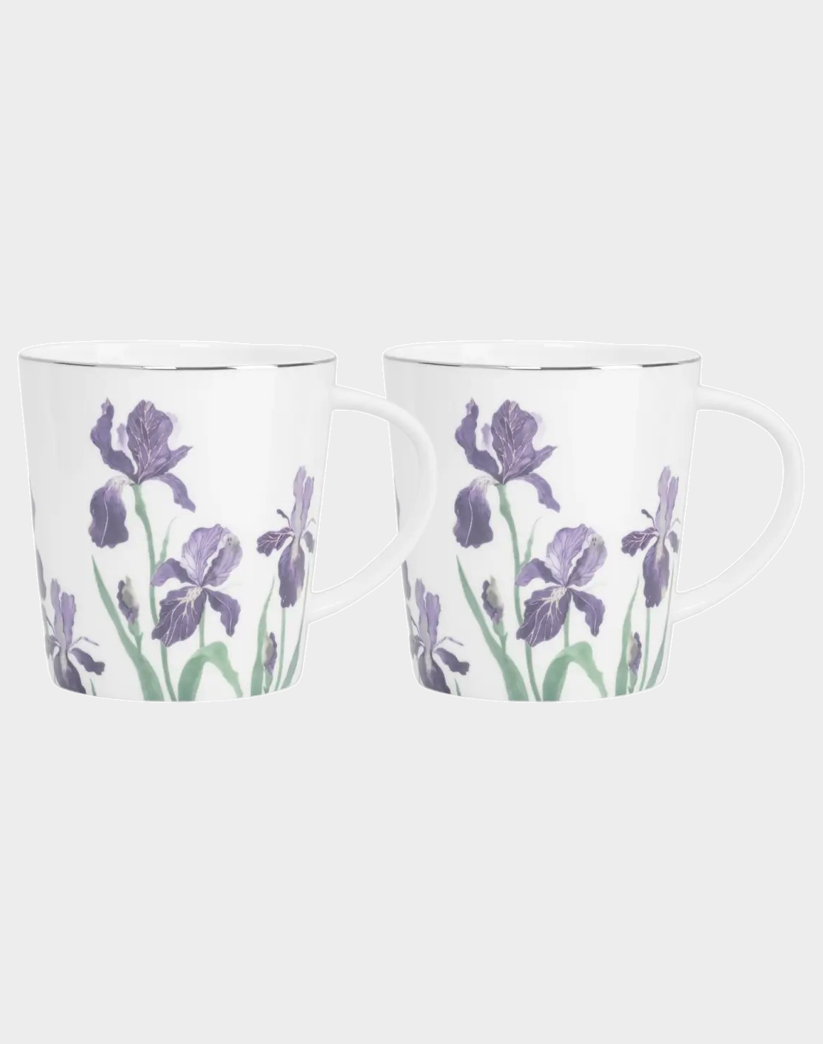 Набор 2 кружки, 450 мл, костяной фарфор, белая, с серебряным кантом, Ирисы, Giardino