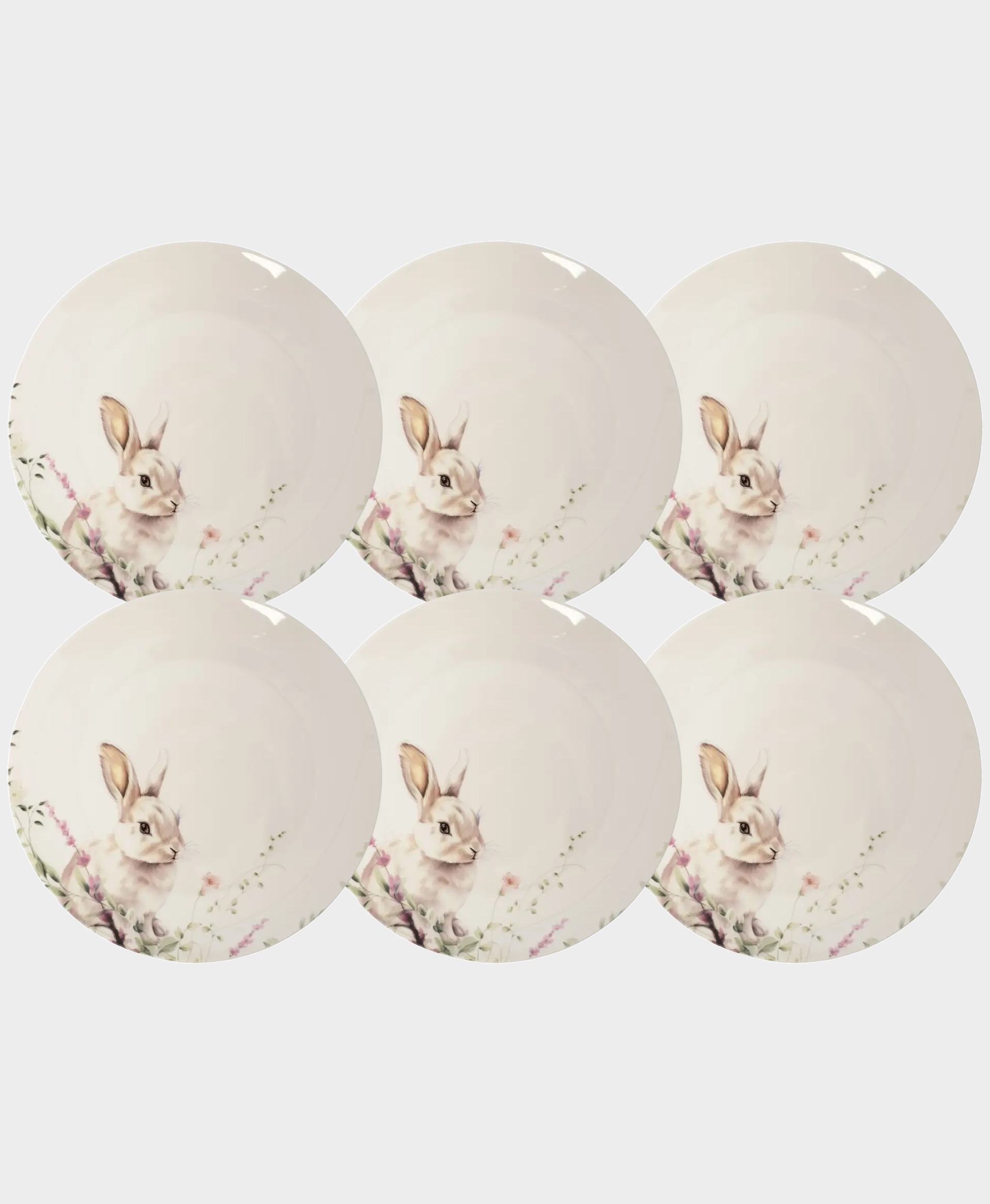 Набор 6 тарелок обеденных, 27 см, костяной фарфор, белая, Кролик в цветах, Bunny
