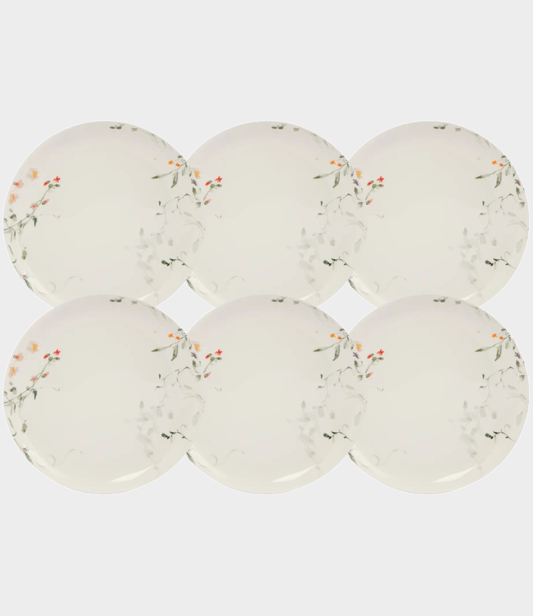 Набор 6 тарелок обеденных, 27 см, костяной фарфор, белая, Цветы и листья, Primrose