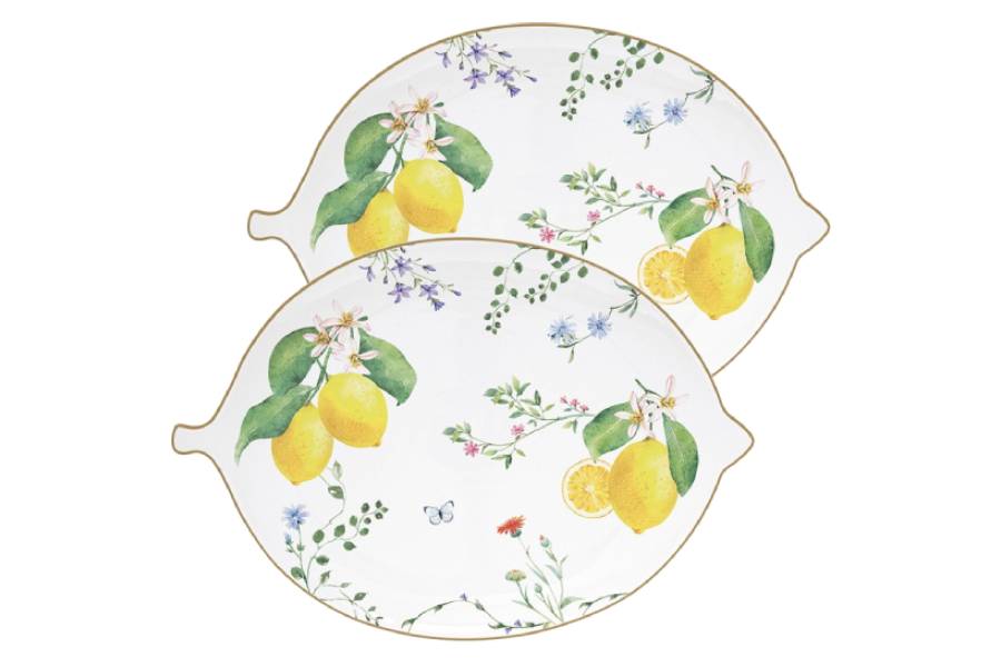 Набор 2 блюда, 25х18 см, фарфор P, овальных, белое, Цветы и лимоны, Fleurs et Citrons