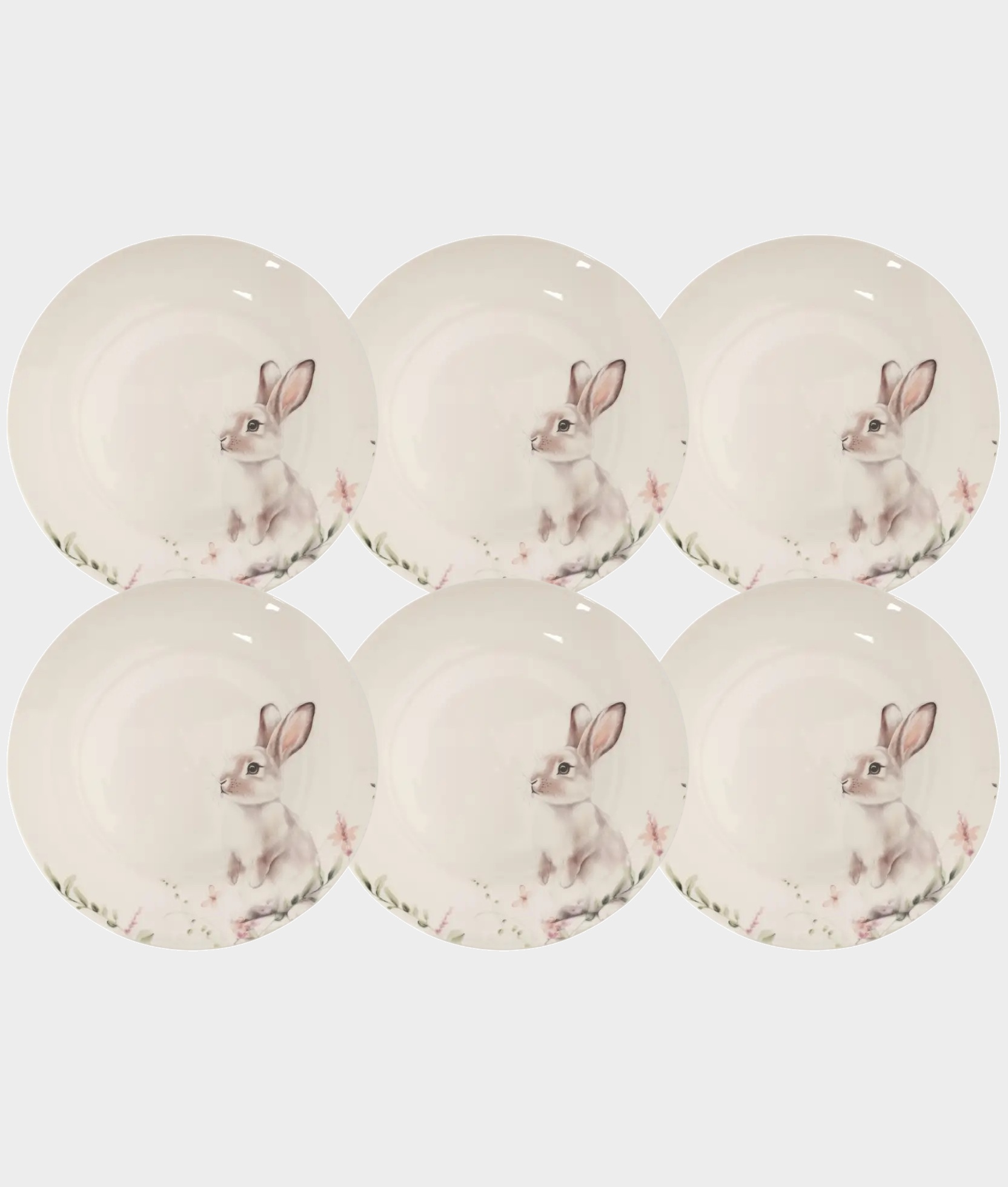 Набор 6 тарелок закусочных, 20 см, костяной фарфор, белая, Кролик в цветах, Bunny