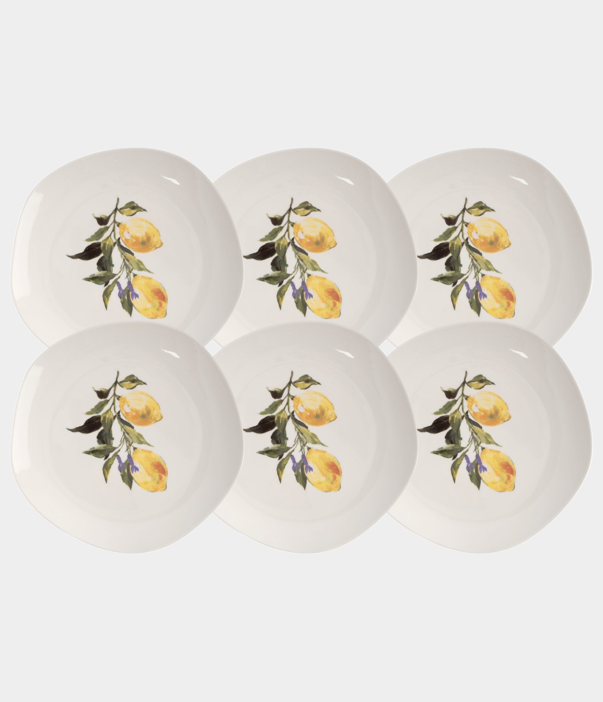 Набор 6 тарелок обеденных, 26 см, фарфор, белая, Лимоны, Lemon branch